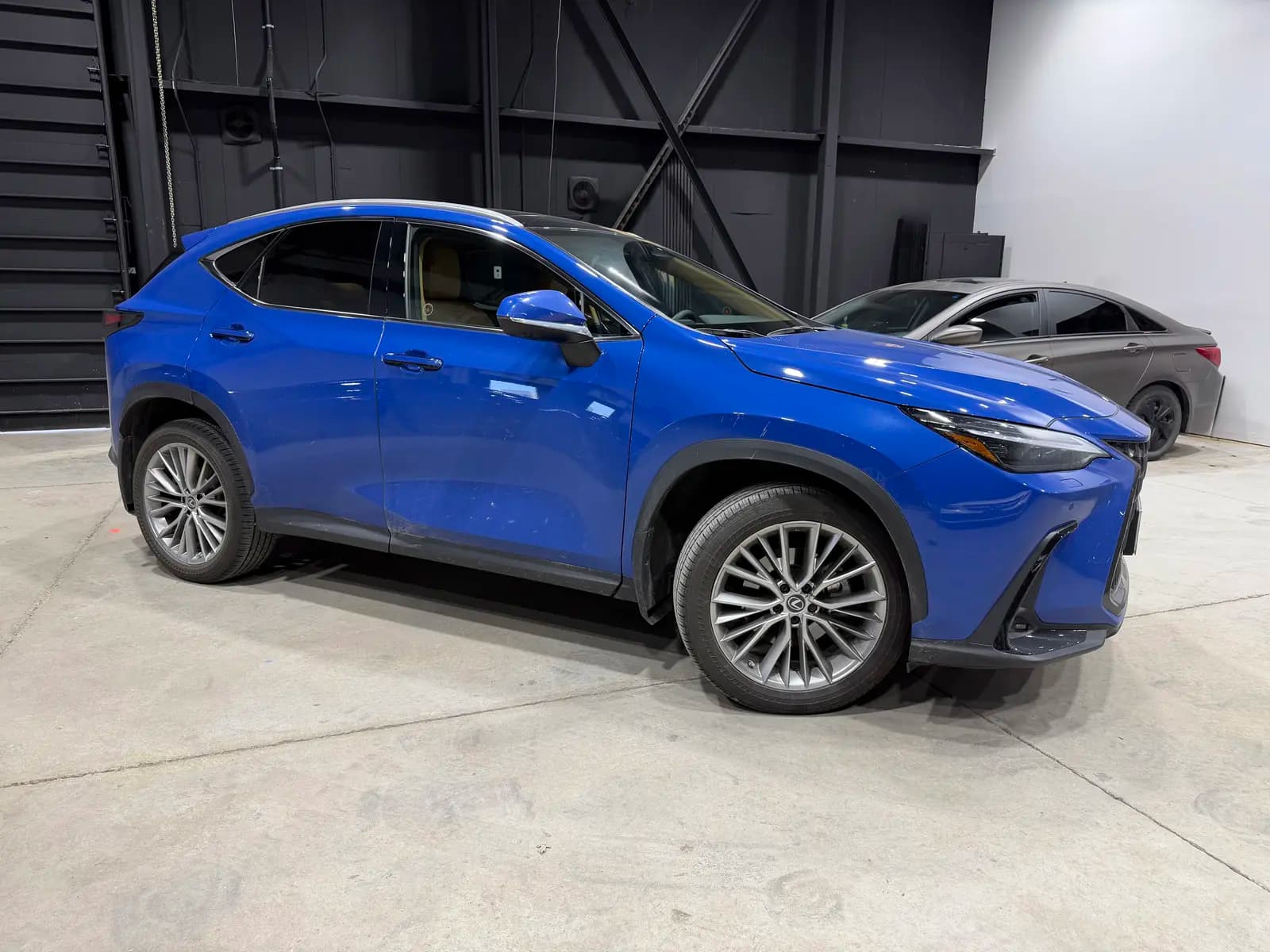 2023 Lexus NX-Series 350 Ultra Premium